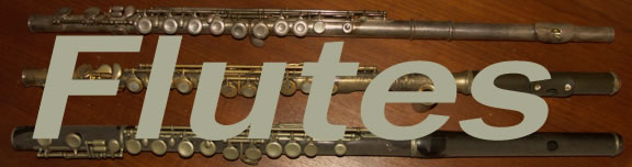 Flutes: a glimpse logo